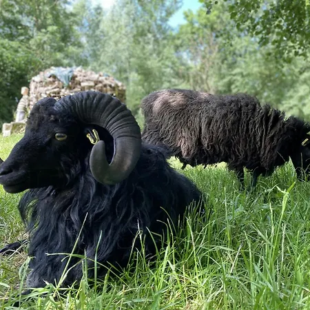 Prázdninový dům Thatch House Near The North Sea